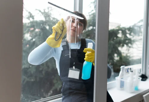 Nettoyage de vitres intérieures et extérieures à Jalognes